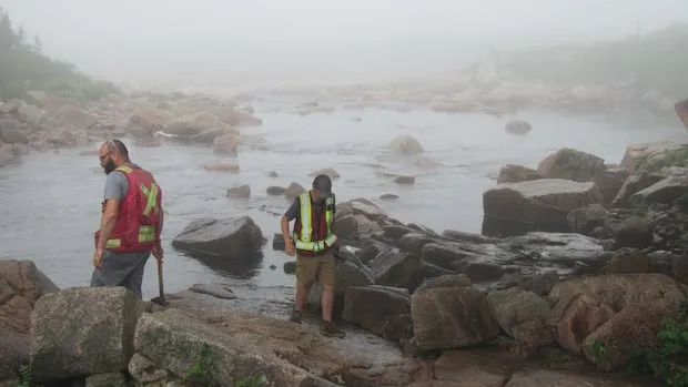 N.L. wildfires impeding day-to-day geoscience work, but less than in 2025