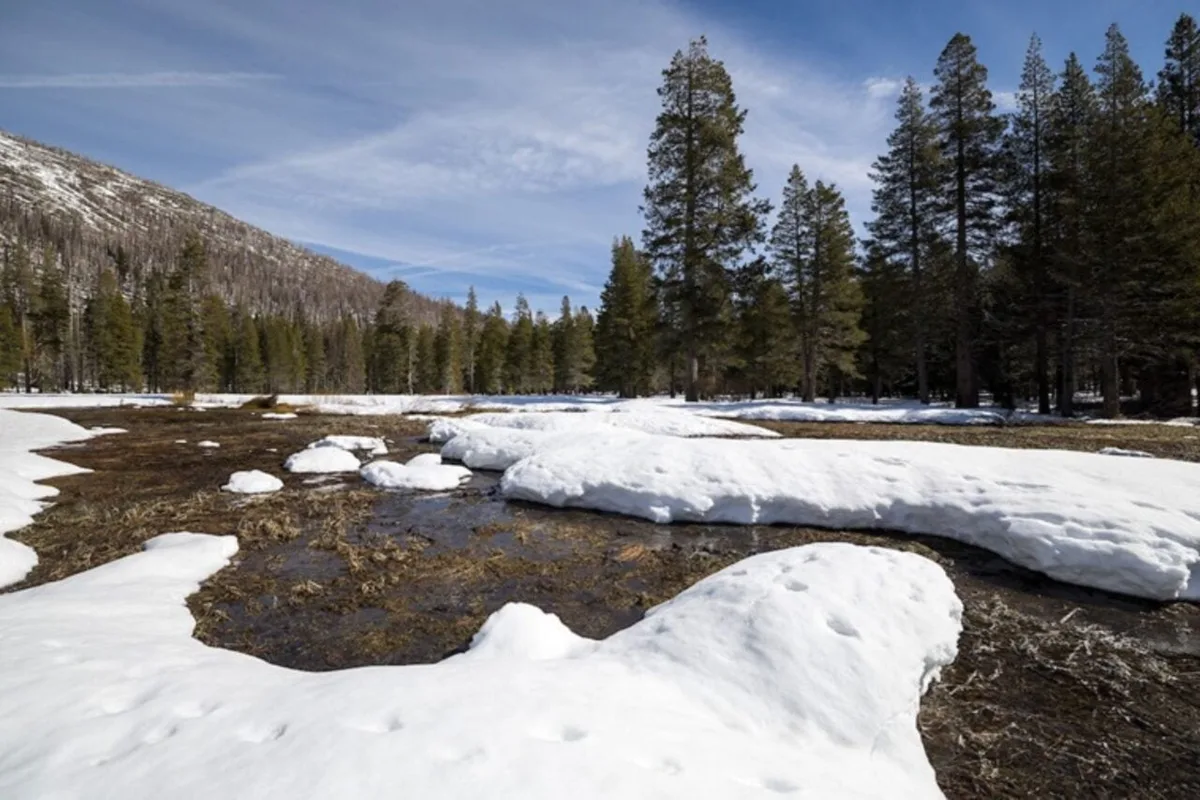 Climate Change Has Unleashed an Entirely New Type of Heatwave: The ‘Snow Eater’