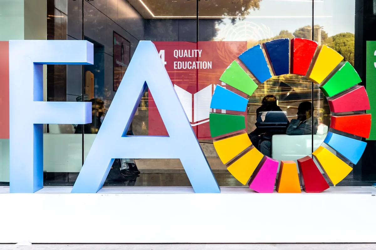 Opinión: la Argentina debe ocupar un lugar central en la gobernanza mundial de los alimentos, fibras y bioenergías