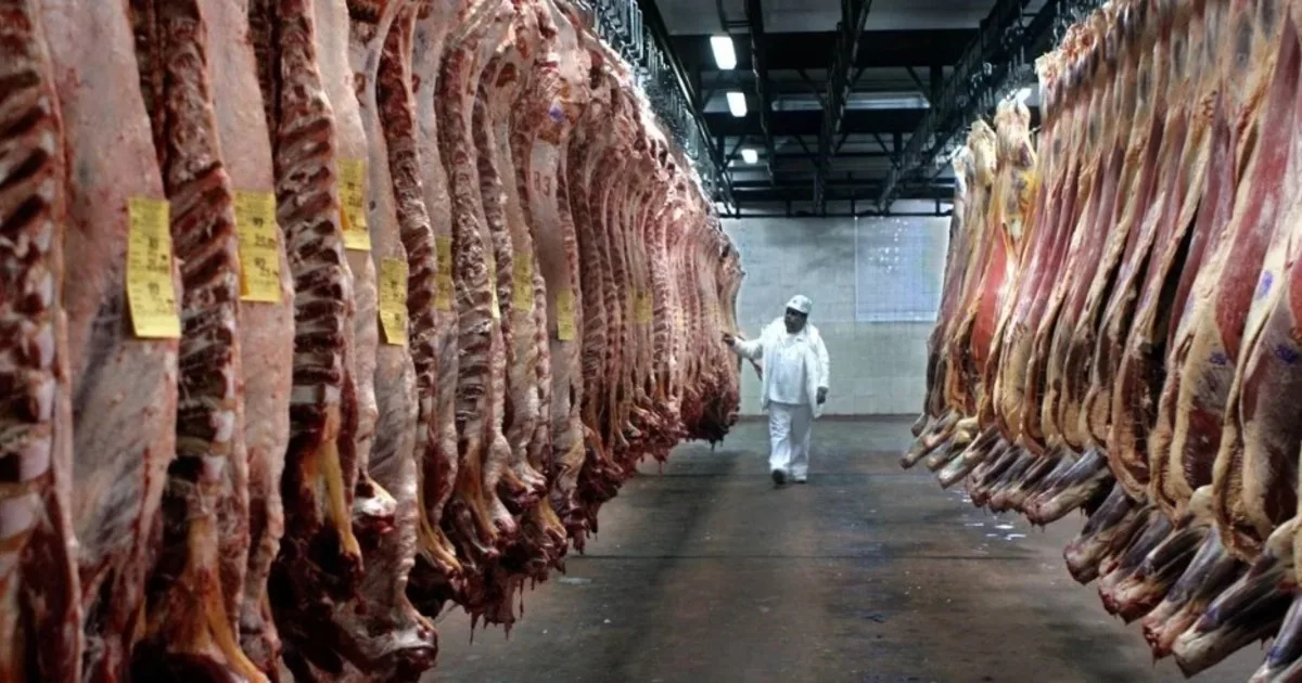 El peso promedio de faena es el mayor en 100 años