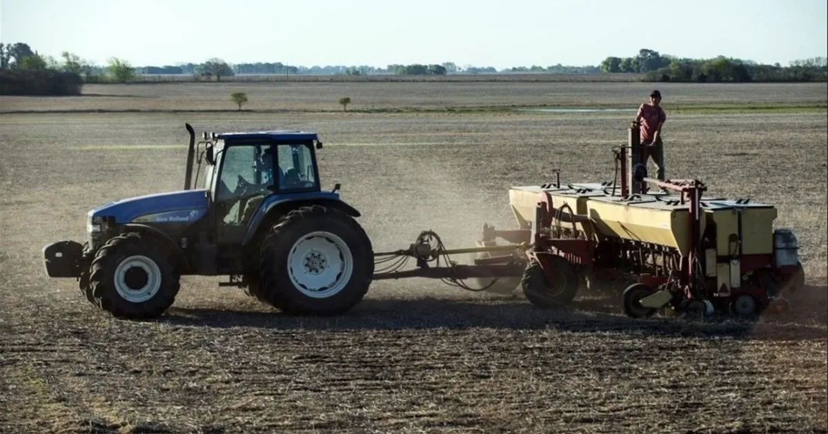 Rentabilidad del 35 por ciento: la recomendación de un experto para mejorar el negocio agrícola