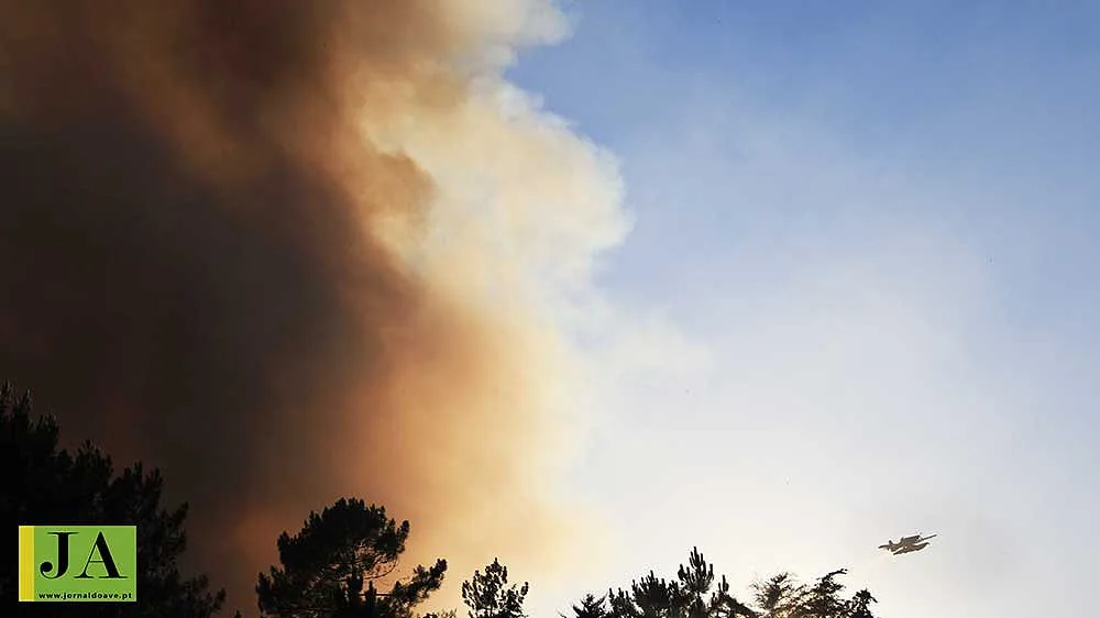 Proteção Civil apela para medidas preventivas face a risco agravado de incêndio