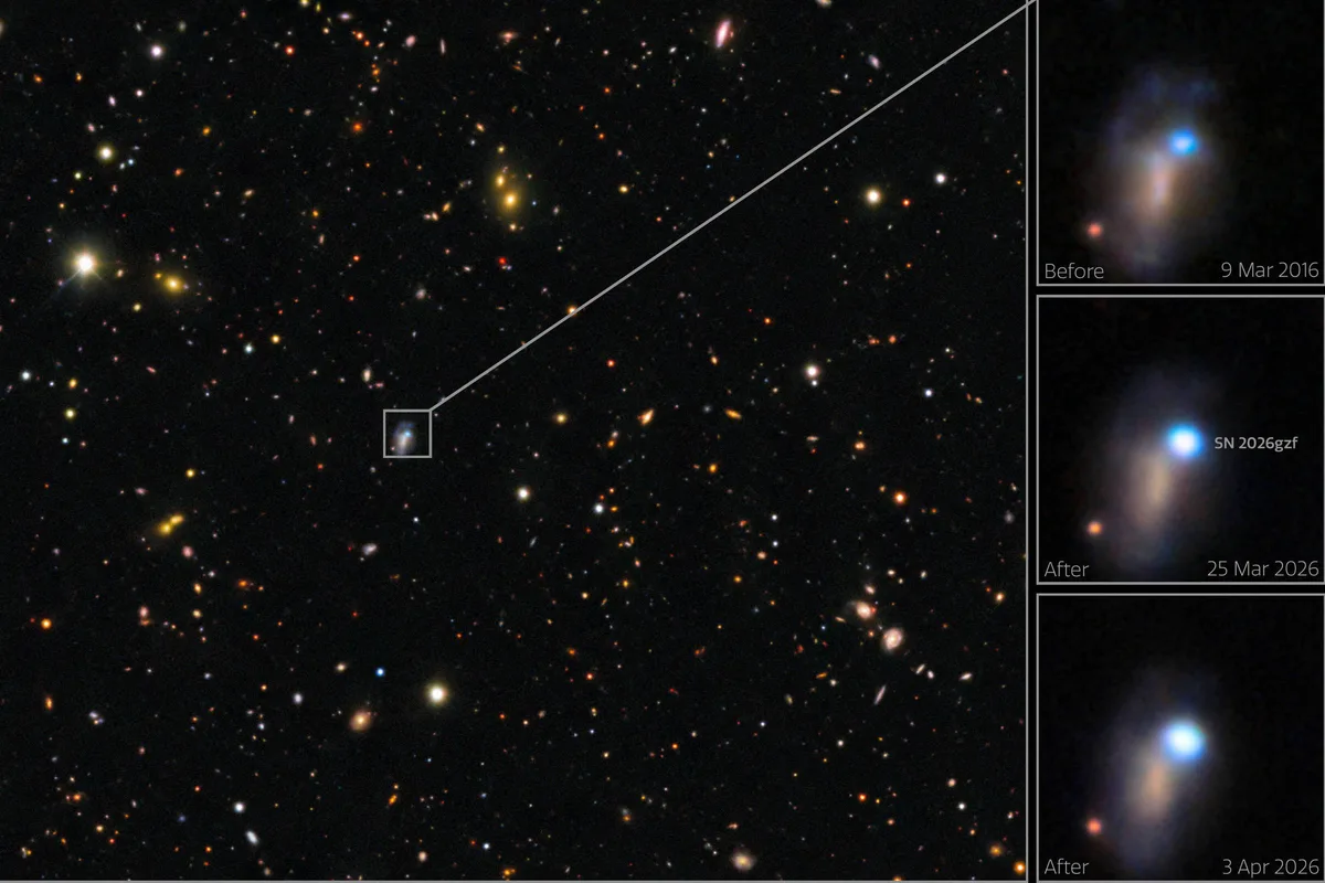 Astr�nomos acompanham, do in�cio ao fim, morte de estrela gigantesca