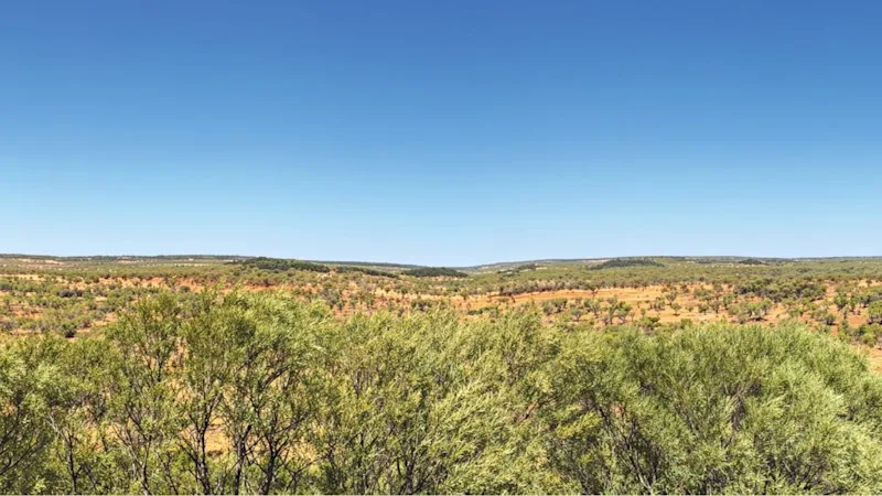 Barkly NT test cracks 99% magnet rare earths extraction