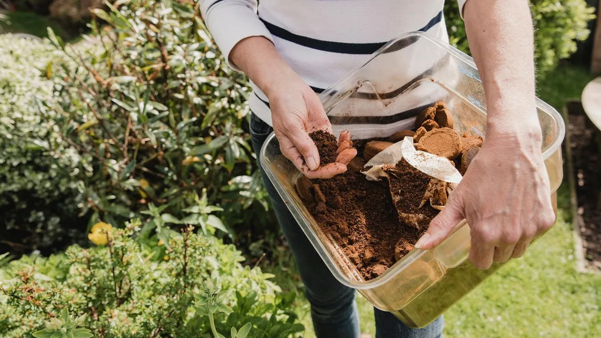 Garten: Kaffeesatz ist ein prima Dünger für den Garten – doch diese Pflanzen hassen ihn