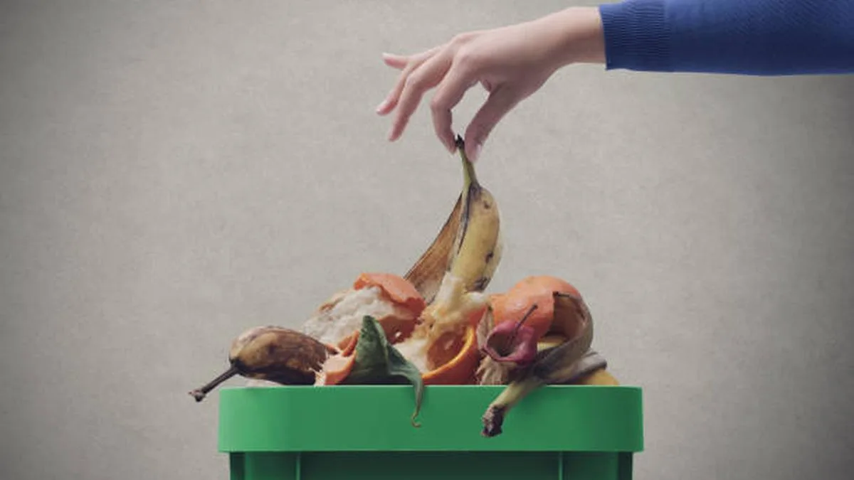 Food waste, a major contributor to climate change