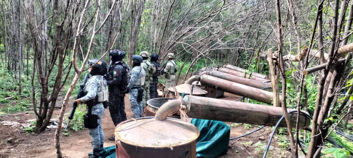 Desmantelan cuatro laboratorios clandestinos en Michoacán y Guerrero: aseguran más de 10 toneladas de químicos, informa Harfuch