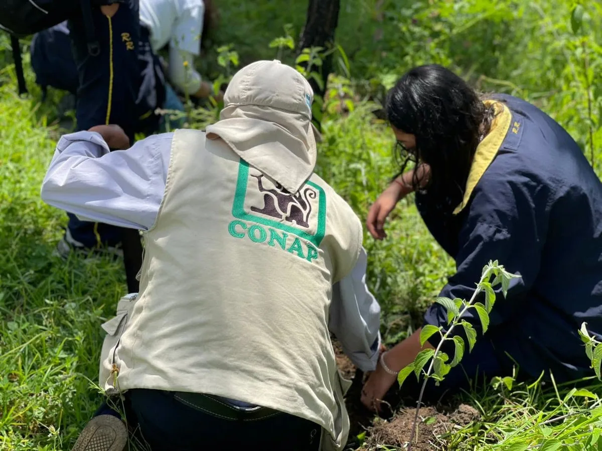 Guatemala celebra el Día del Guarda Recursos entre reformas laborales y una reducción del 67% en incendios forestales