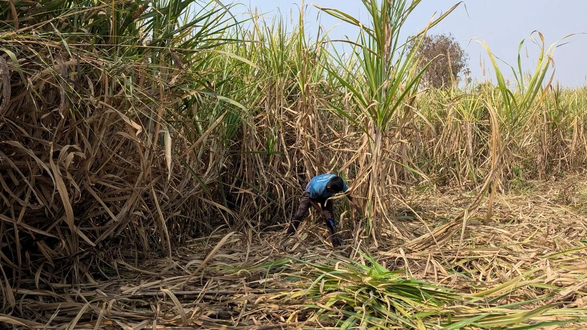 Maharashtra drought: Farmer sends money order of ₹5,000 to CM over ‘paltry’ interim aid by govt.