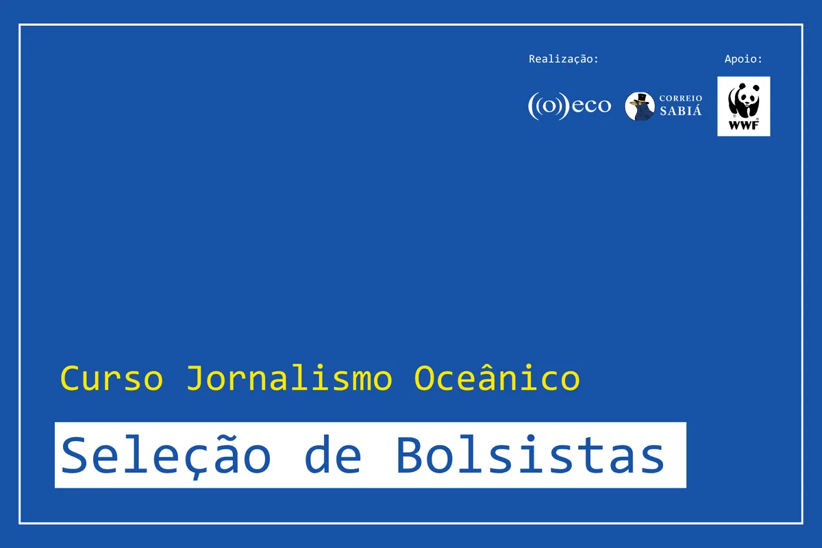 WWF-Brasil financia 50 bolsas para curso de Jornalismo Oceânico