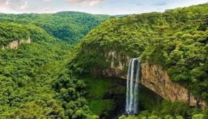 Pueblos indígenas en Brasil denuncian amenazas de invasión ante el escenario electoral