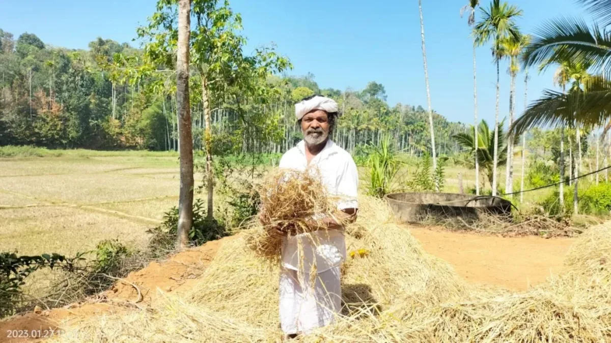 Cheruvayal Raman, ‘father of rice’ who kept indigenous varieties alive, dies at 76