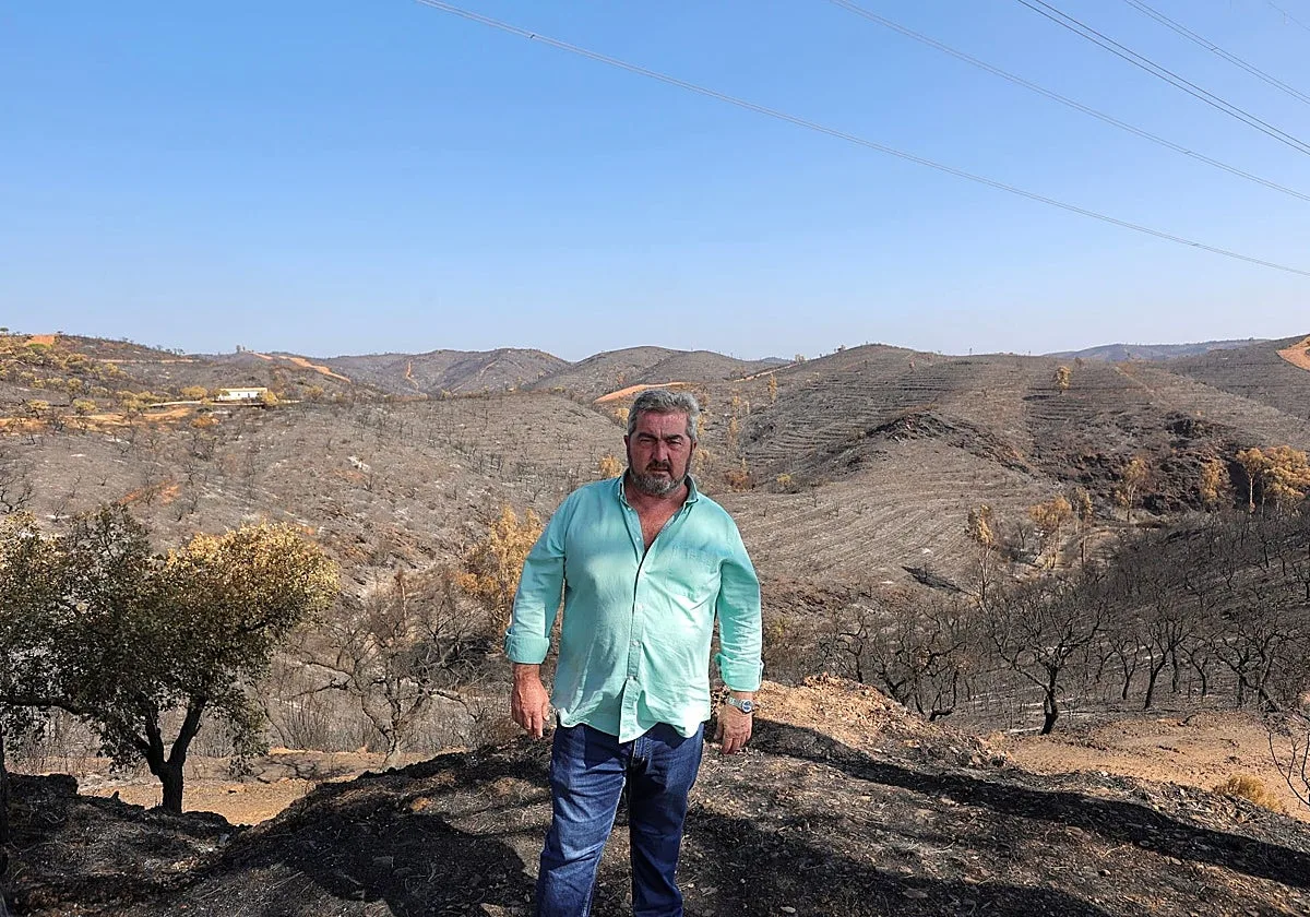 Aznalcóllar lucha por renacer de sus cenizas