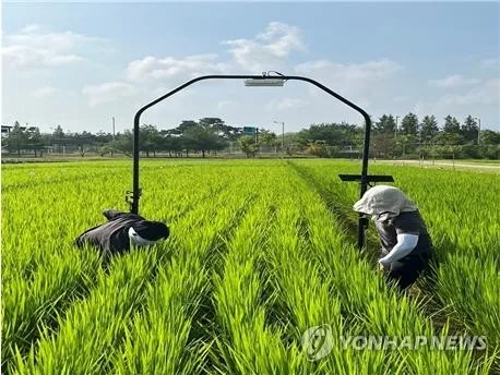 농진청 소속기관 연구장비 10대 중 4대 내용연수 넘겨