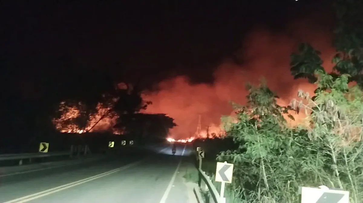 Incêndio atinge vegetação às margens da ES 248, em Linhares; vídeo