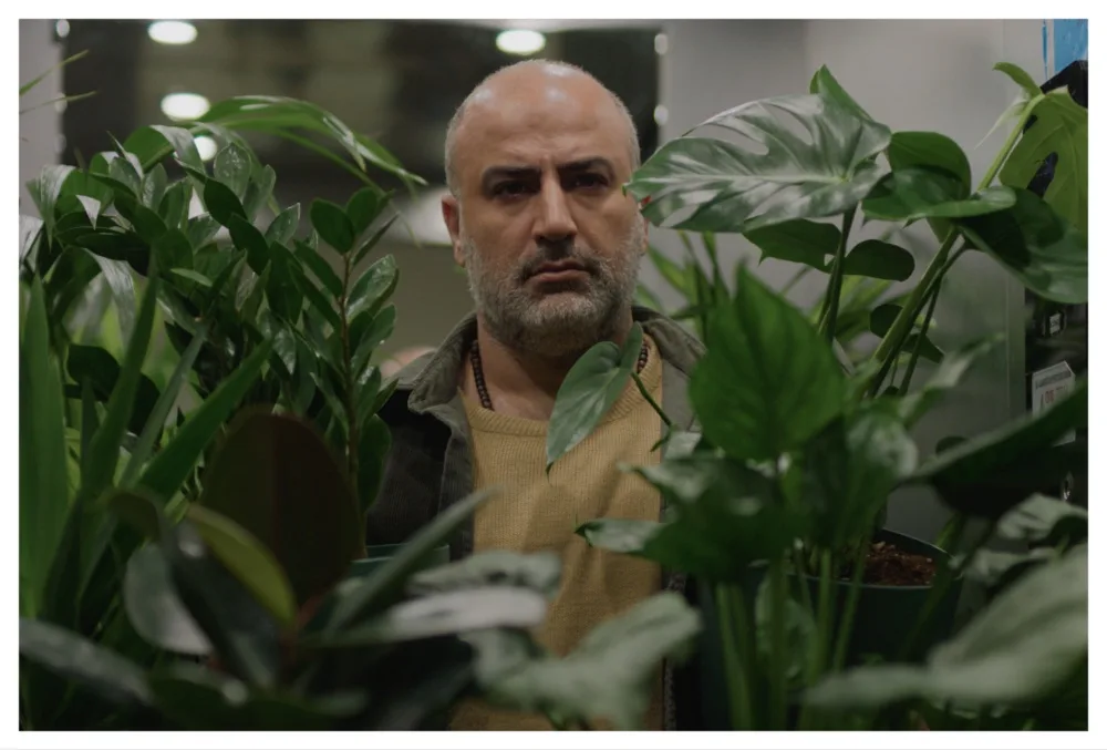 ‘A Bit of Light’ Review: A Life-Affirming Drama About a Suicidal Iranian Doctor