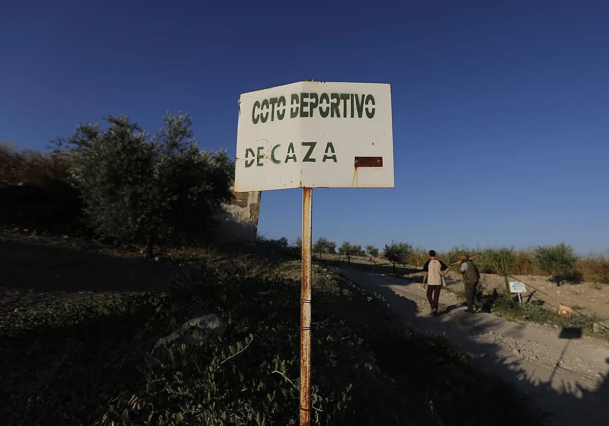 Muere un hombre durante una montería en Villaviciosa de Córdoba