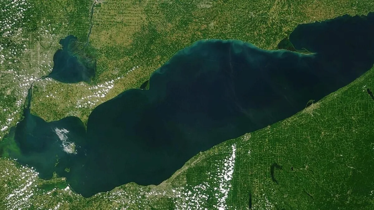 After a 25-acre Lake Erie wetland was reconnected, sonar recorded 3.44 million fish detections