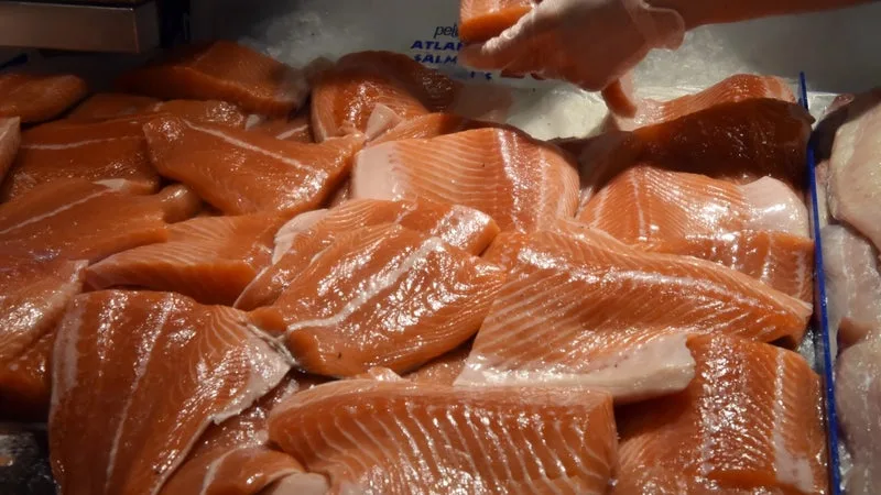 Des os, du foie et du cerveau de poulet pour nourrir les saumons: face à l'envolée du prix de la farine de poisson, le fournisseur de Labeyrie et Delpeyrat contraint de passer à la volaille