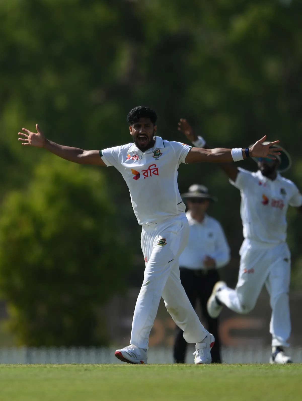 Zak Crawley resists as wickets tumble