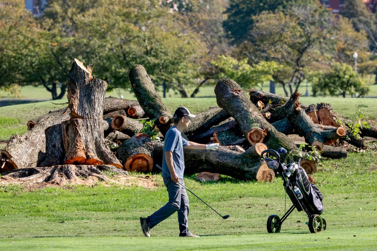 Trump to close historic DC golf course for 15 months of renovations, citing ‘disease infested trees,’ despite judge’s order to halt development plans