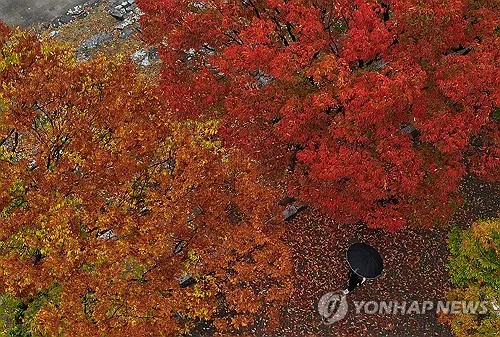 대구·경북 대체로 맑고 큰 일교차…낮 최고기온 19∼25도