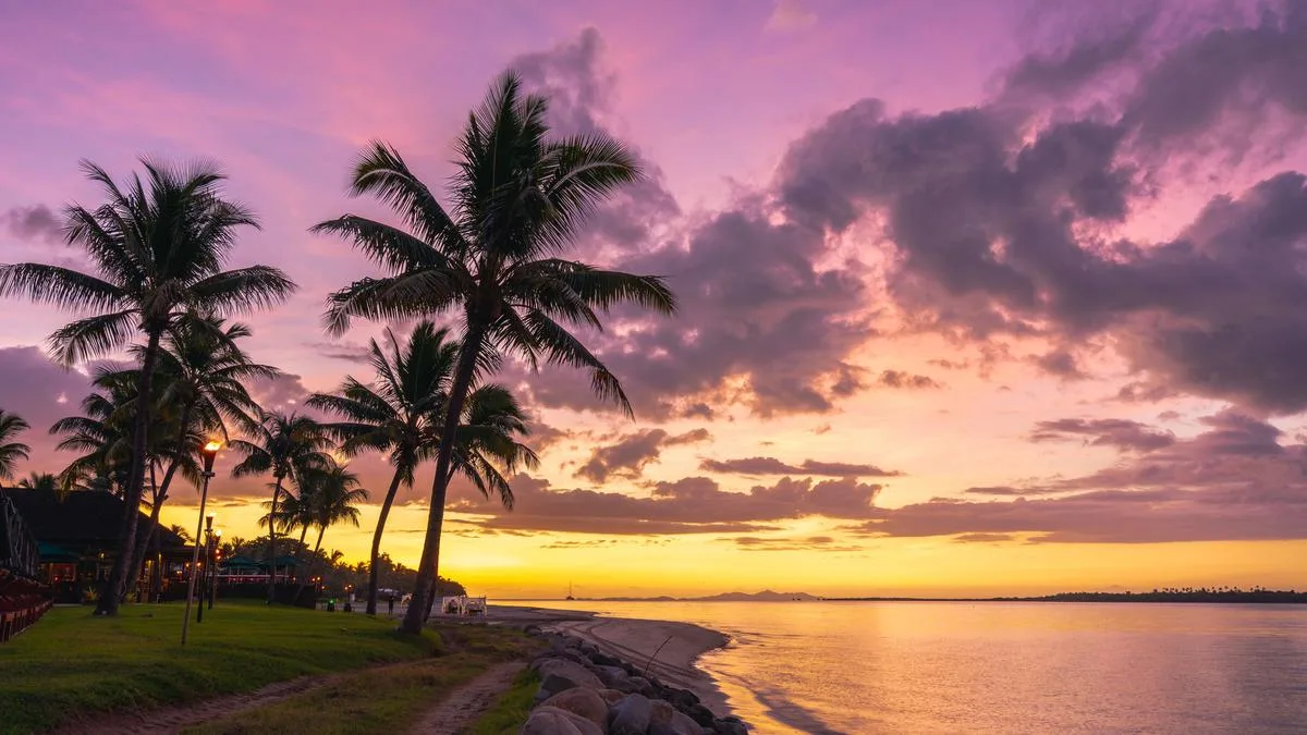 Labor tells farmers upset about backpacker shortages to recruit Pacific islanders