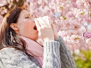 Pourquoi, lors d’un éternuement, ne dit-on pas « atchoum » partout sur la planète ?