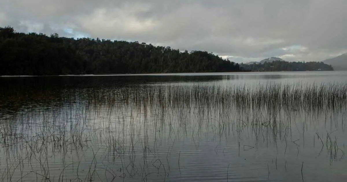La Justicia paralizó dos proyectos inmobiliarios en Bariloche por un amparo ambiental