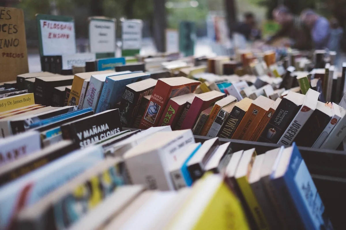 Cheque-livro: mais de 45 mil jovens utilizaram voucher de 30 euros para comprar livros