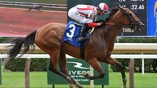 Ways and Means busca su sexta victoria en Saratoga en el Ballerina Stakes (G1)