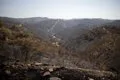 El incendio de Niebla (Huelva) con 33.000 hectáreas afectadas es el segundo mayor de Andalucía tras el de Riotinto