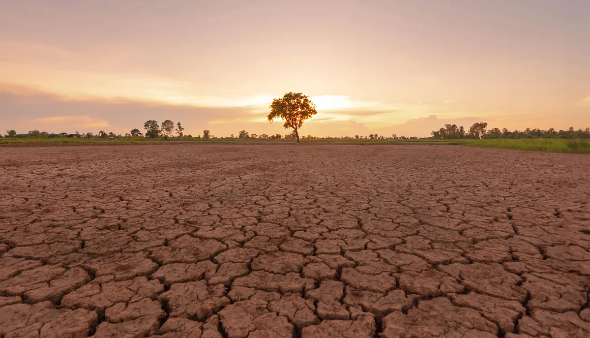AFTER THE BELL: El Niño is now the strongest on record — a war room is needed