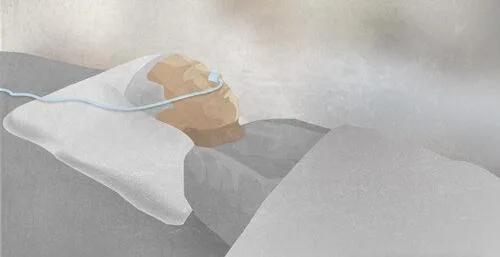 20년 곁 지켰지만…간병 부담에 70대 아내 살해한 80대 남편