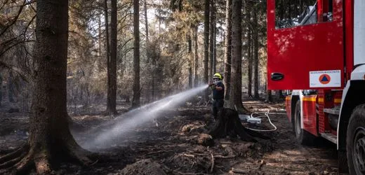 Hürtgenwald: Größter Waldbrand in NRW-Geschichte vollständig gelöscht