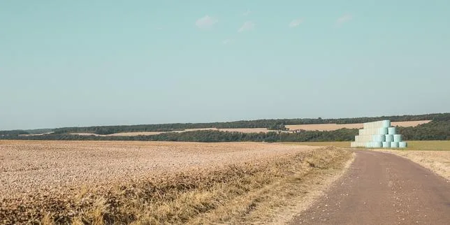 EN DIRECT, incendies et canicule : « Les tensions en eau potable, un peu partout en France, sont de plus en plus prégnantes et l’été est loin d’être fini »