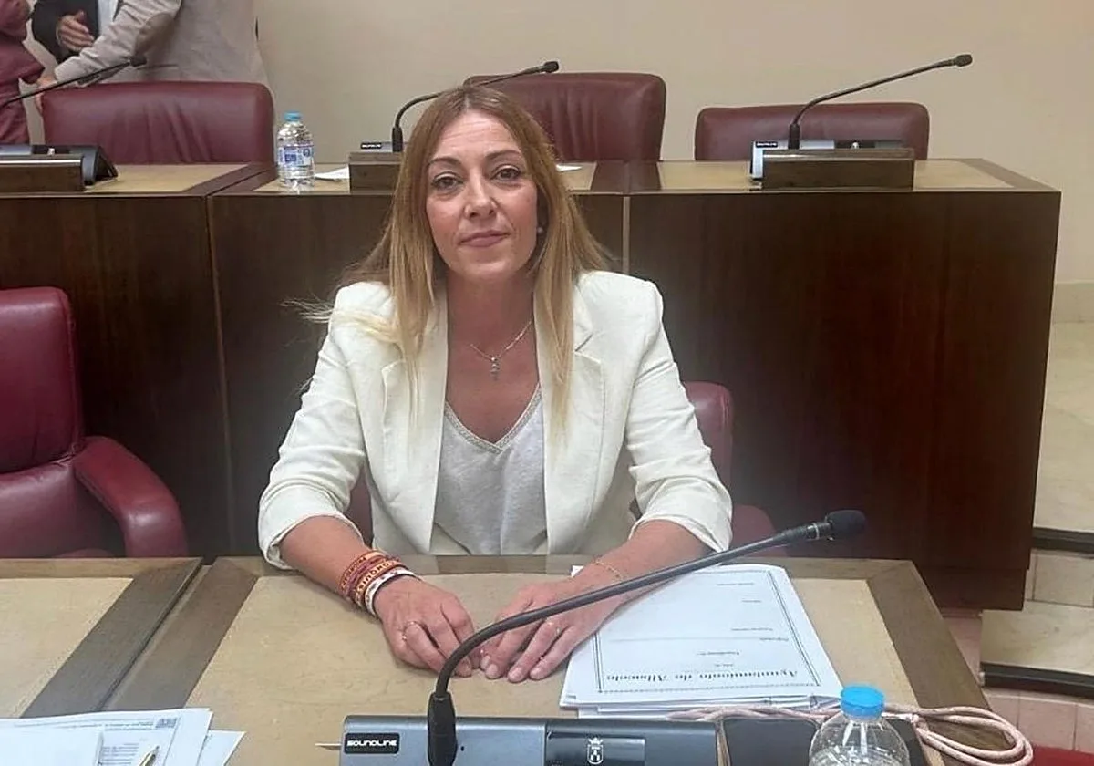 El Pleno de Albacete reclama revisar la seguridad del Museo tras el robo de las monedas