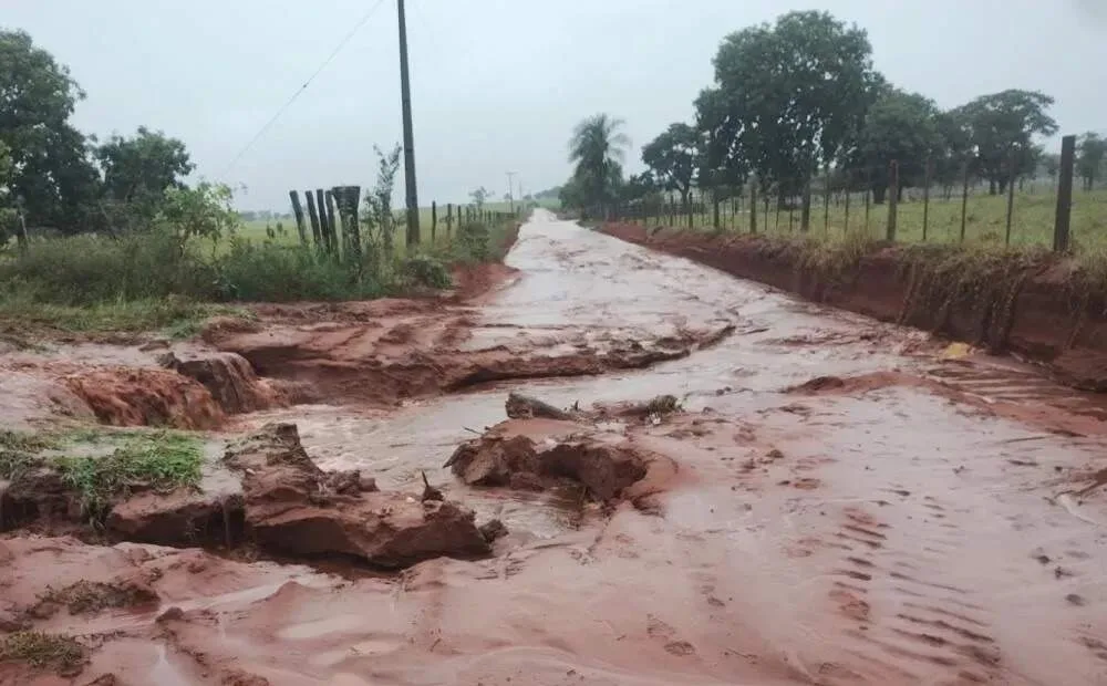 Agro e celulose puxam demanda por ônibus adaptados a estradas rurais