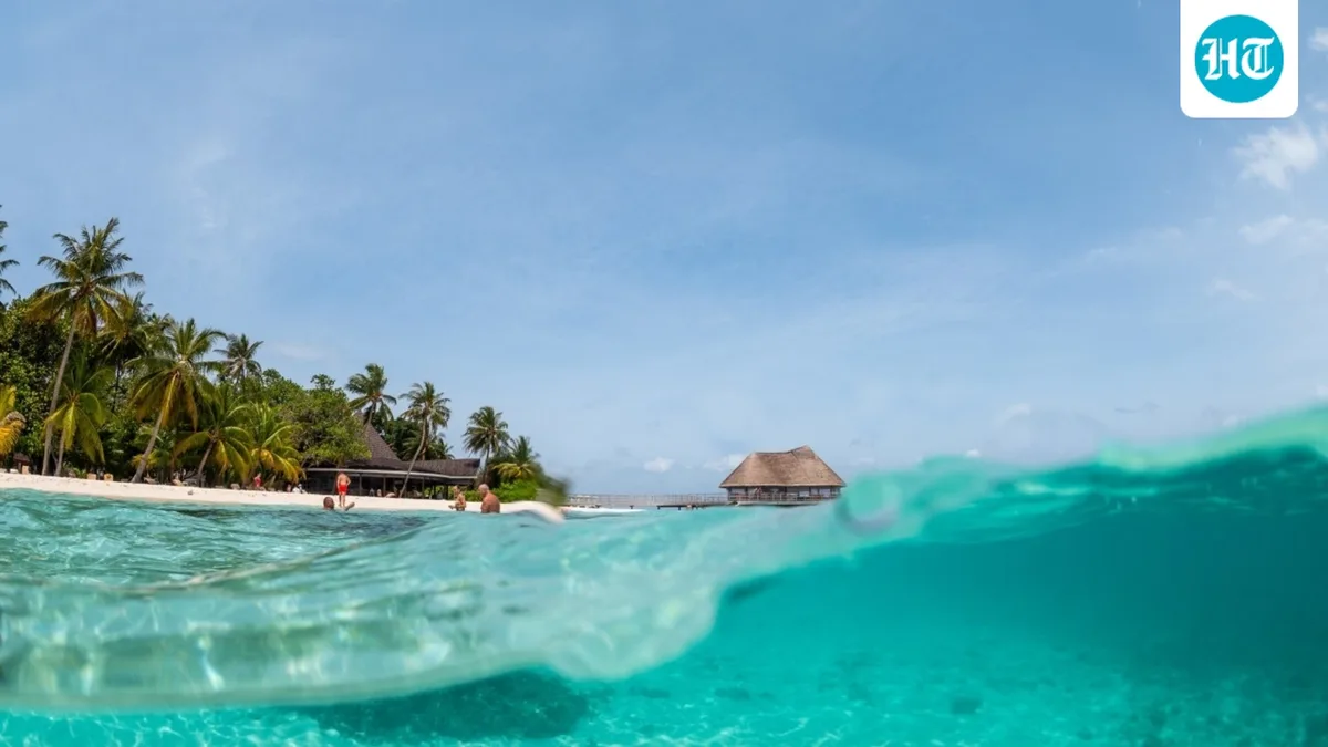 The Island Paradise That Is a Secret Hub for Russian Sanctions Evasion