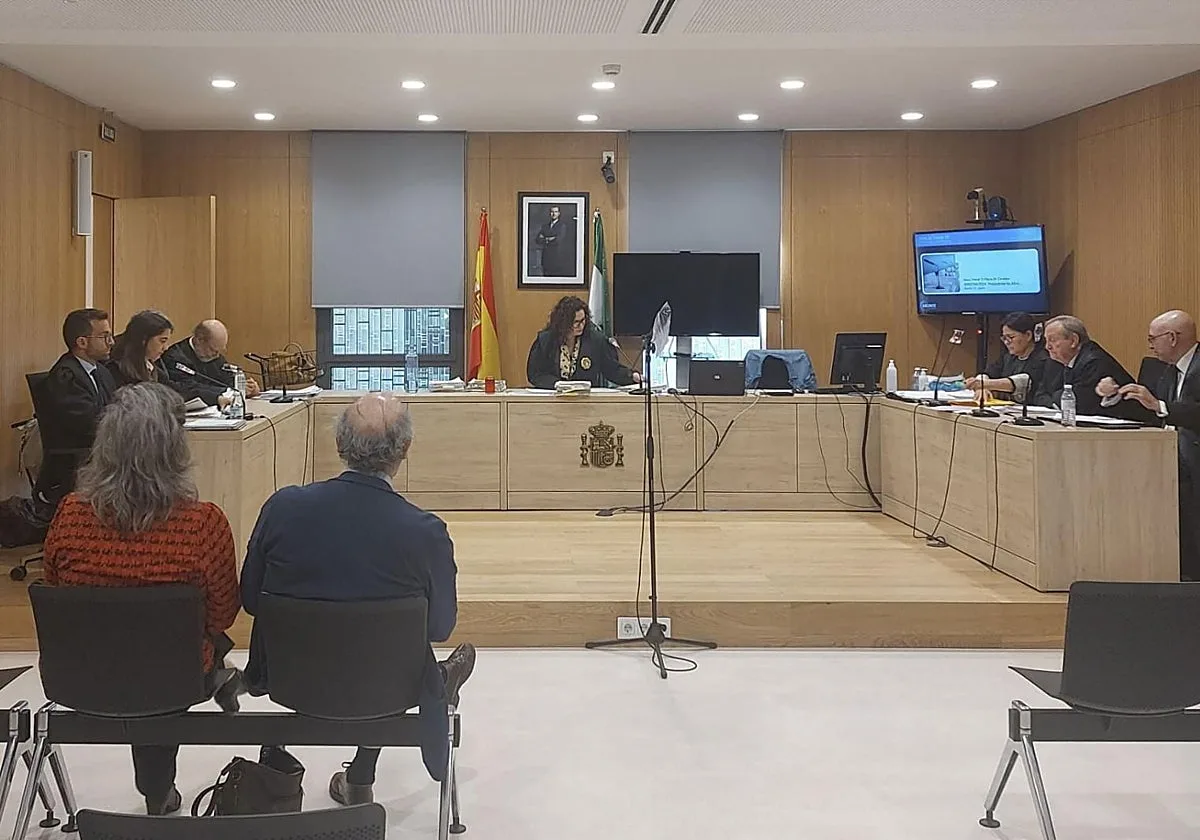 Absuelta la directora de Salud Mental del Reina Sofía de homicidio imprudente tras la muerte de un paciente en Córdoba