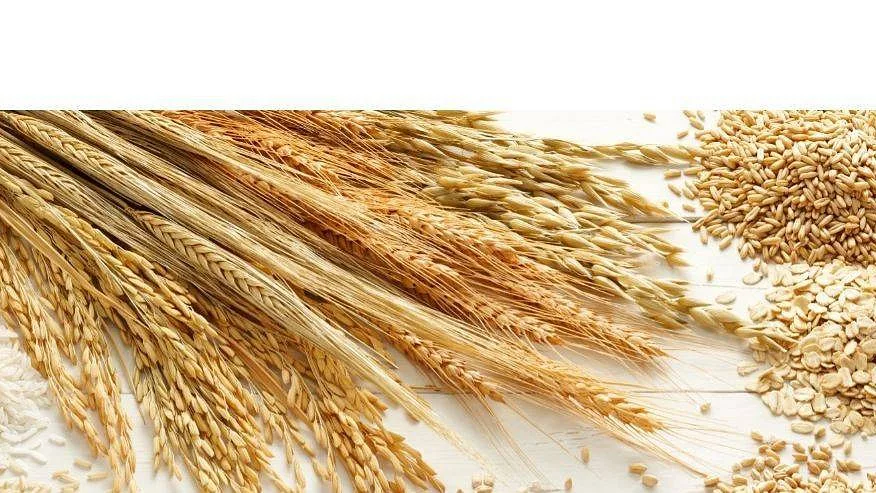 Estudo indica que a culinária já era uma verdadeira arte há 4500 anos