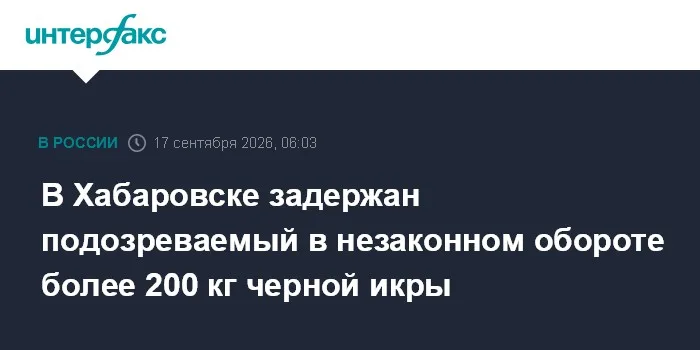 В Хабаровске задержан подозреваемый в незаконном обороте более 200 кг черной икры