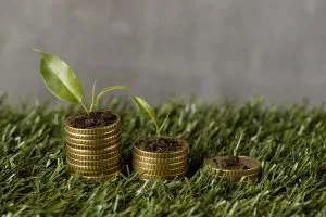 Regime jurídico das cultivares revela nulidades em práticas comerciais