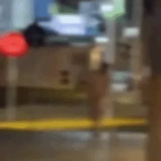"Peladão" corre pela Rua Ceará e quase é atropelado por motorista