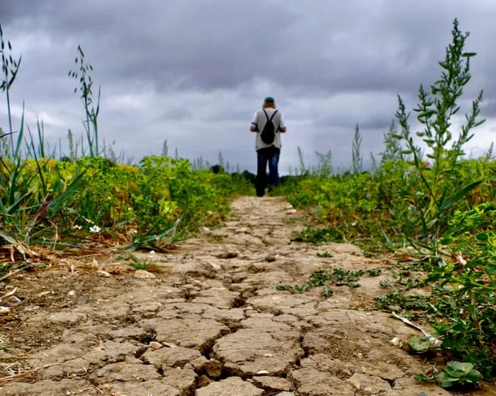Heavy rain forecast will not reverse widespread drought conditions in UK