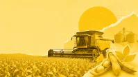 Angola tem vasto potencial agrícola inexplorado