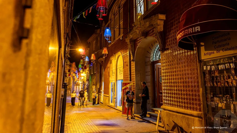Viseu: Antigo Orfeão reabriu portas como Ponto Cultural da Rua Direita