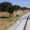 Talgo vai propor a Portugal comboios de alta velocidade adaptáveis a duas bitolas