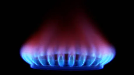 Ditching Russian gas cost Germany €50 bn – media