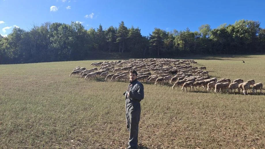 Sécheresse : en Lozère, un éleveur contraint d’acheter du foin à prix d’or